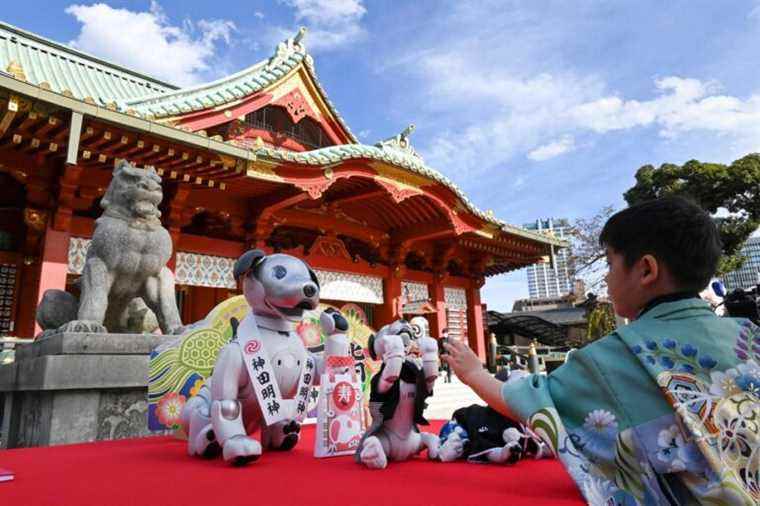 Japan |  Sony’s robot dog celebrates children’s day