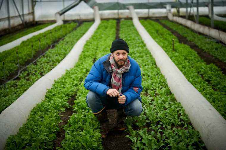 Jean-Martin Fortier, gardener-market gardener |  Vegetables under the snow