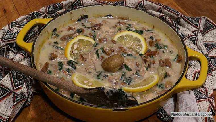 LIMOUSINE HEN, a simmering recipe …