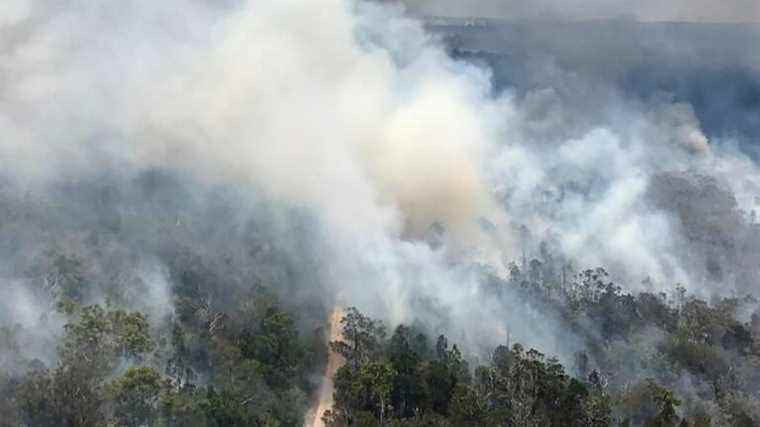 Large forest fires causing algae blooms thousands of miles away