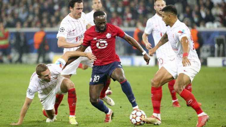 Losc travels to Andalusia for the 4th day of the Champions League, follow the match