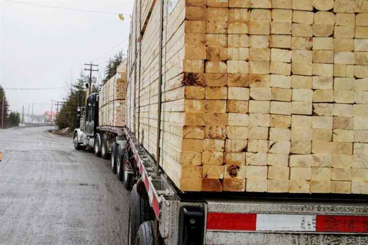 Lumber duties |  Canada “extremely disappointed” with the hike imposed by Washington