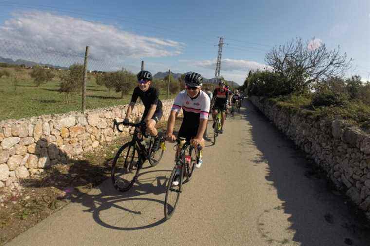 Mallorca, the cycling island |  Press