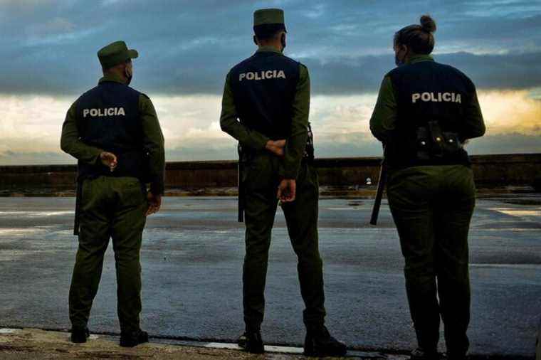 Mexico |  Arrest of the wife of the king of drug traffickers