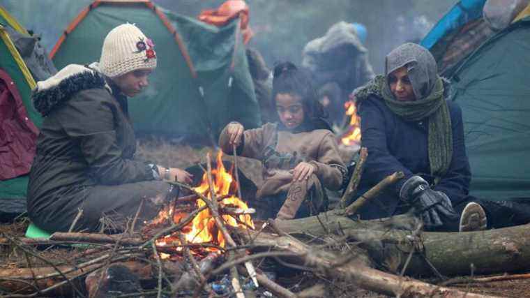 Migrants in Belarus: emergency meeting at the UN