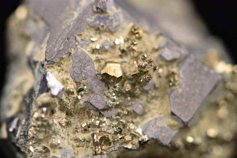 Mines |  Gold arouses enthusiasm in northern Quebec