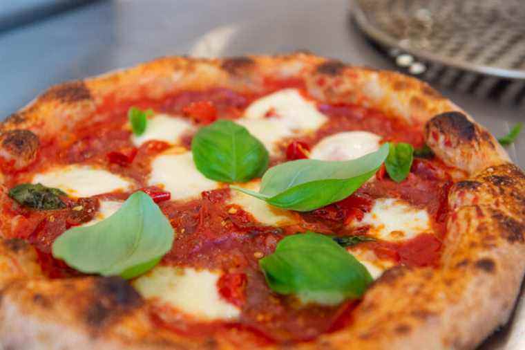 Moccione launches its pizzeria |  Press