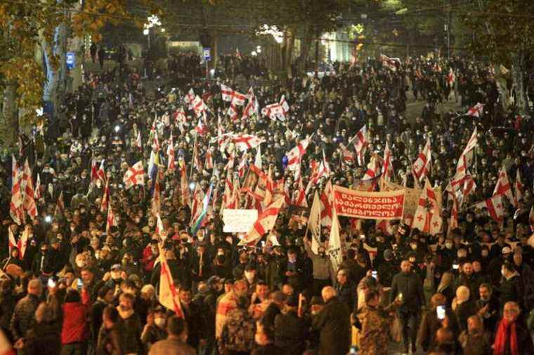 Monster demonstration in Tbilisi |  Former Georgia President Mikheil Saakashvili Says Abused In Prison