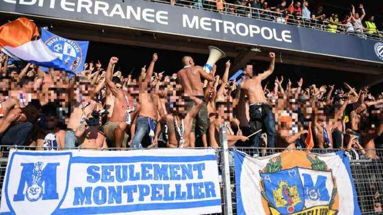 Montpellier’s ultras supporters do not rule out a return to La Mosson