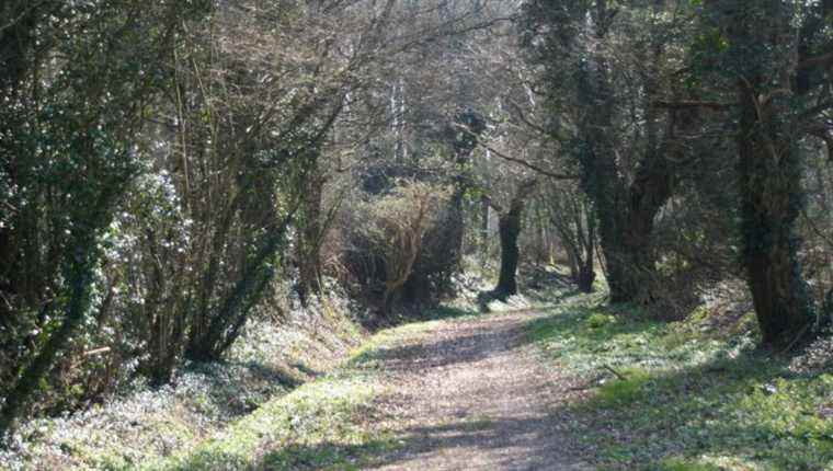 Near Château-Gontier, a circuit in Gennes-Longuefuye