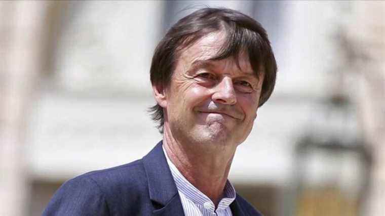 Nicolas Hulot case: several women accuse the former minister of sexual violence