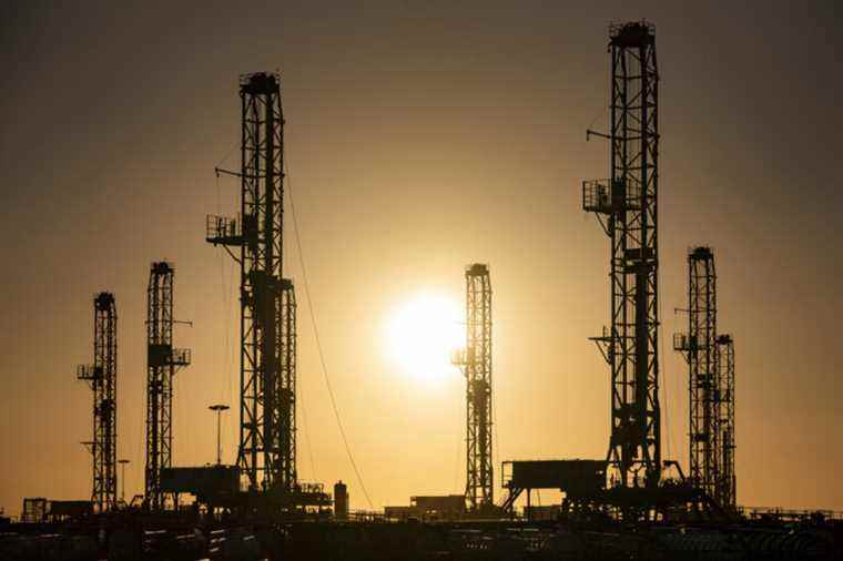 Oil in decline after monthly OPEC report mixed