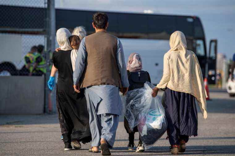 Reception of Afghan refugees |  “Please help us”