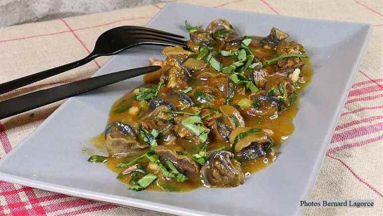 SNAILS with SPICE BREAD for everyday and / or festive cooking