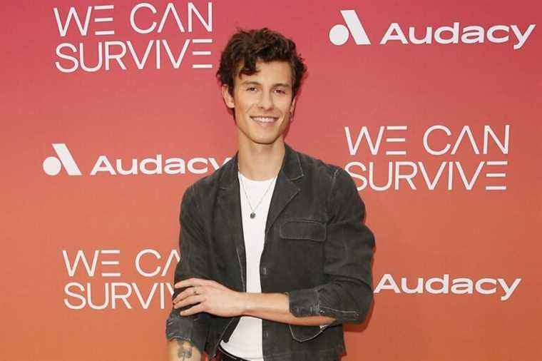 Shawn Mendes and Camila Cabello split up