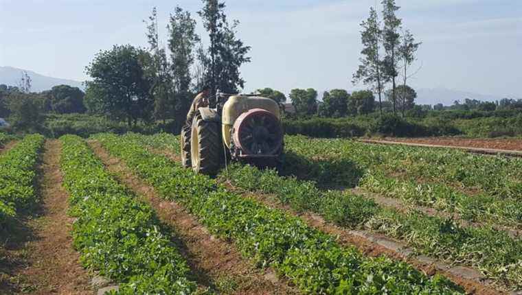 Short circuits: Ceccè GERONIMI, Pratali, organic market gardening in Folelli