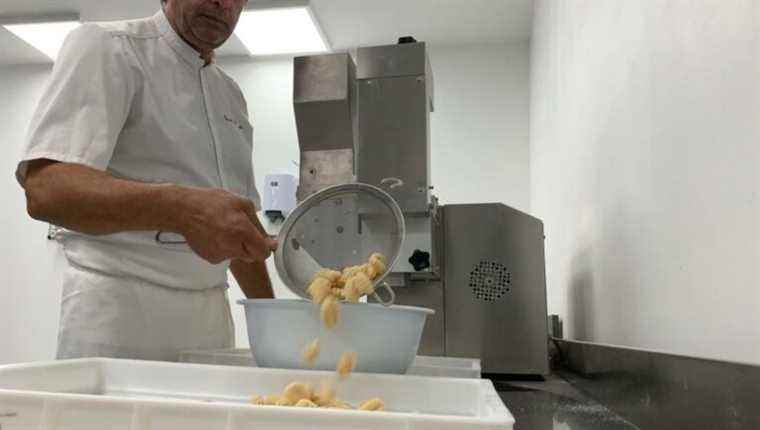 Short circuits: Roberto DI LORETO, Santa Pasta in Calvi