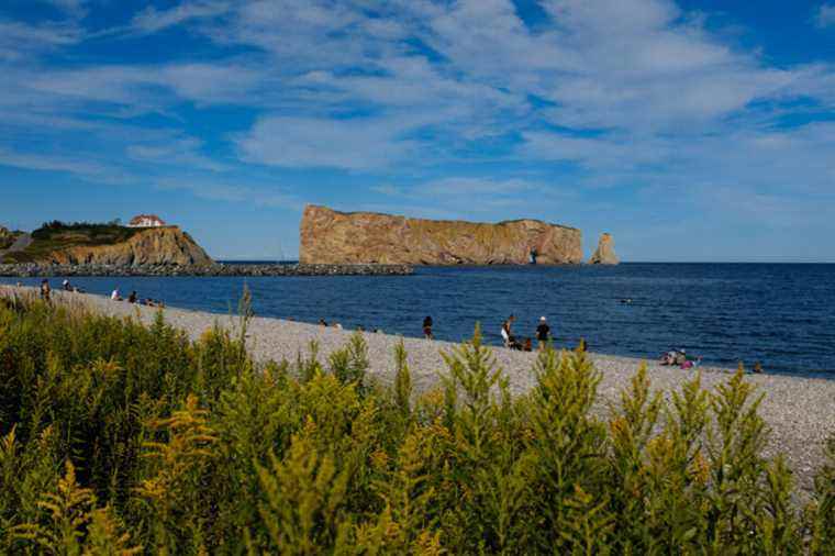 Significant increase in tourism this summer in the Gaspé