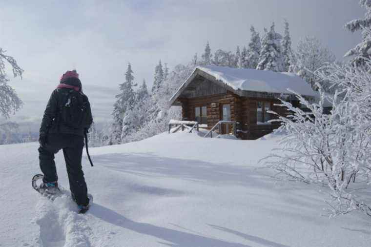 Slightly more accessible shelters