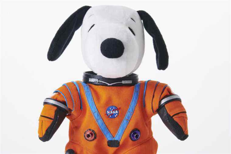 Snoopy will go to space |  Press