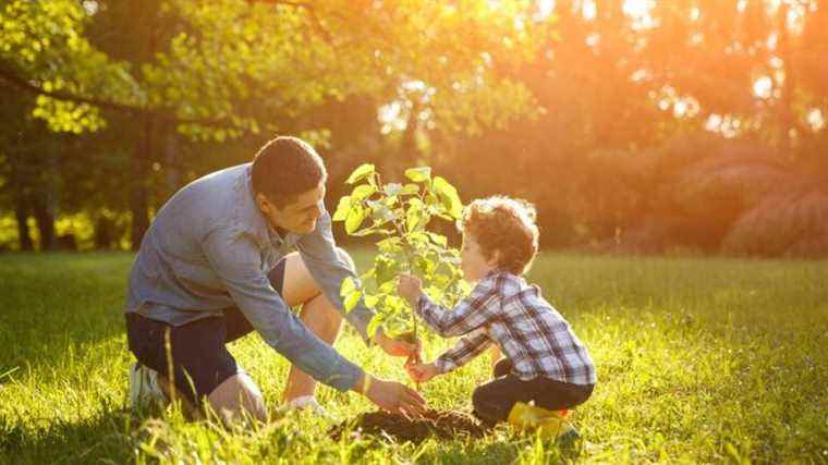 Take part in the operation “France Bleu Gironde is committed to our forests”