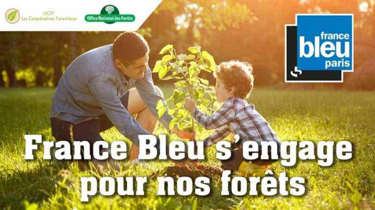 Take part in the operation “France Bleu Paris is committed to our forests”