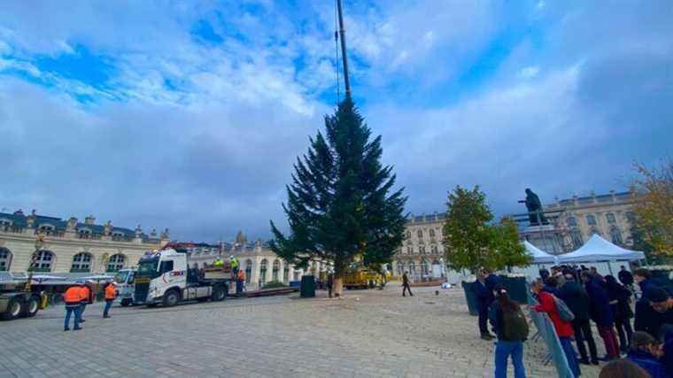 The Christmas tree sits on Place Stanislas in Nancy