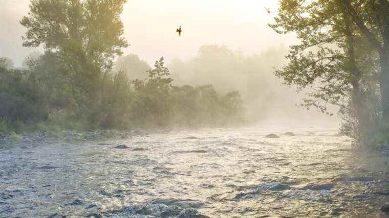 The Loire, the last great wild river in Europe