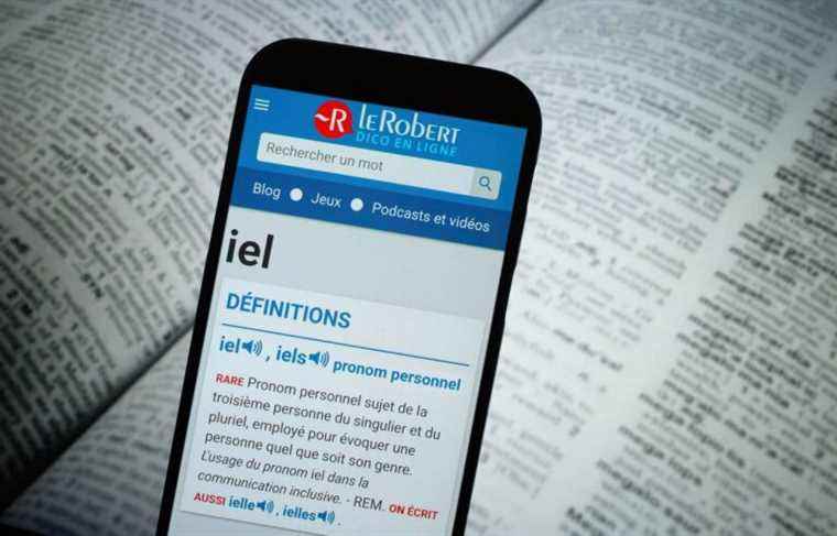 The challenge of teaching the pronoun “iel”