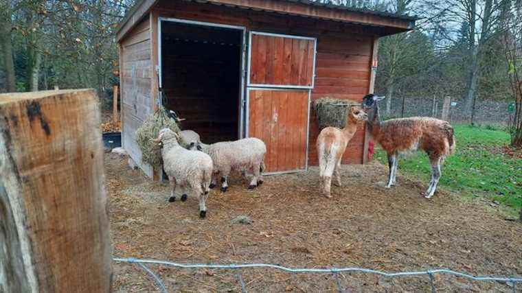 The educational farm of Cormontreuil receives a prize of 10,000 euros