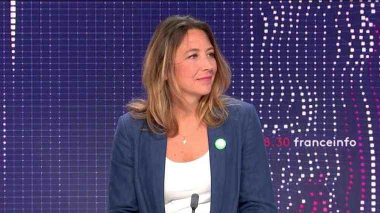 for Sandra Regol of EELV, “France must have the courage to say stop to the English”