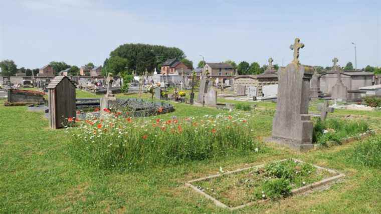 The greening of cemeteries in Wallonia