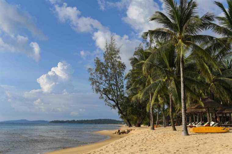 The island of Phu Quoc delivered to the excessive ambitions of the promoters