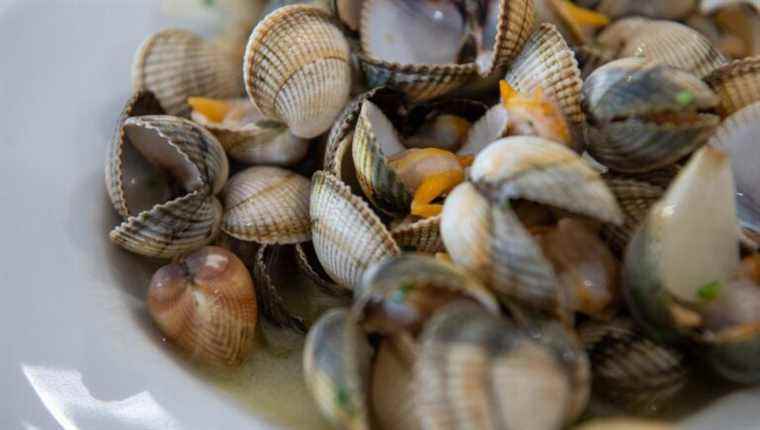 The starred cuisine of chef Mathieu Guibert in La Plaine-sur-mer