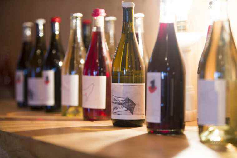 To drink |  Why are Quebec wines expensive?