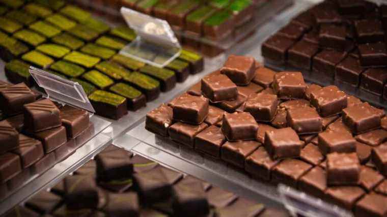 Toulouse chocolate maker Criollo is building a new workshop in Lanta