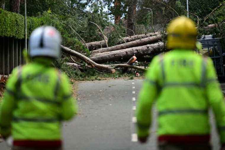 UK threatened by wave of frost after storm Arwen