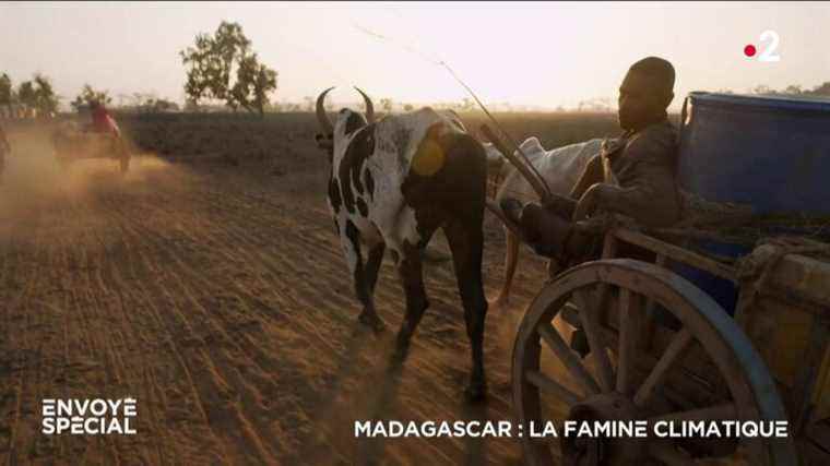 VIDEO.  Madagascar: climate famine