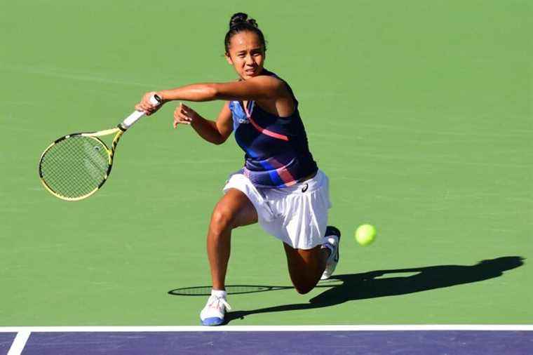 WTA |  Leylah Fernandez becomes top ranked Canadian