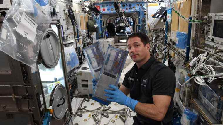 What are the experiments carried out by the French astronaut on board the ISS used for?