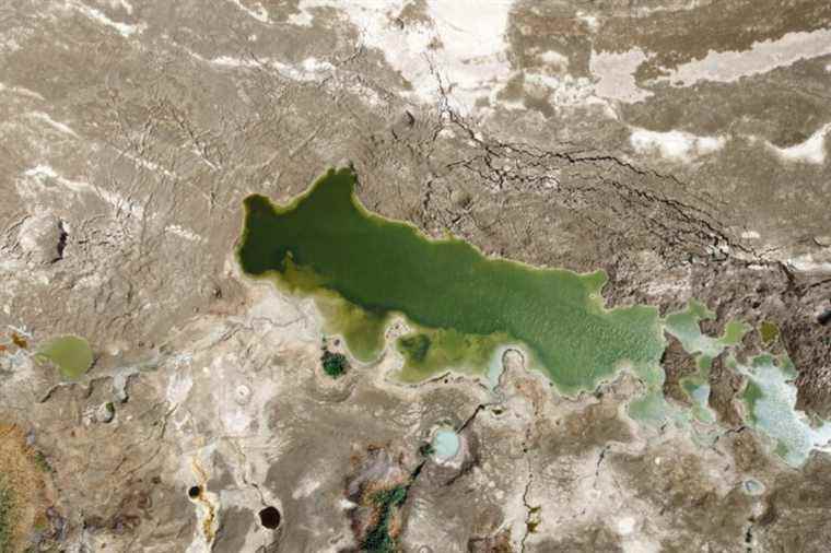 When the Dead Sea disappears, singular craters appear