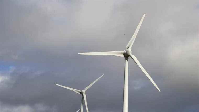 Wind turbines in the Haut Languedoc regional park harmful to health, the operator condemned in the Tarn