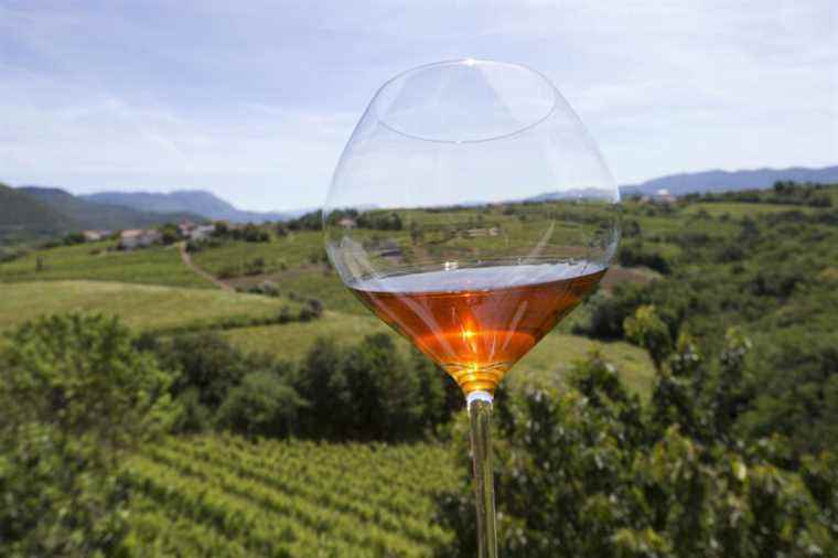 Wines of the week |  The rise of orange wine