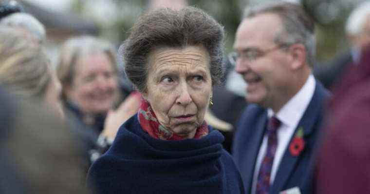 “You are very sexy!”  : Improbable (and daring) exchange between Princess Anne and a child