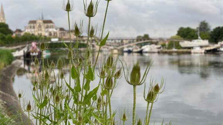 a collective of residents against the southern bypass project of Auxerre