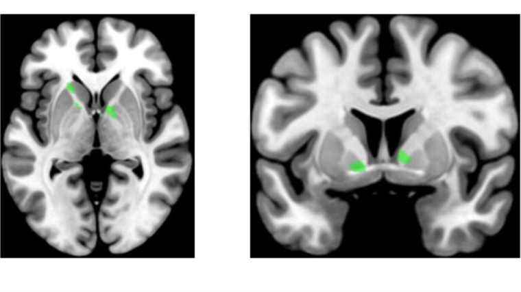 being skilled with tools improves one’s understanding of language