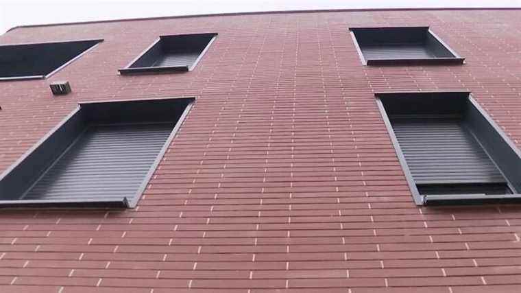 building bricks absorb pollution