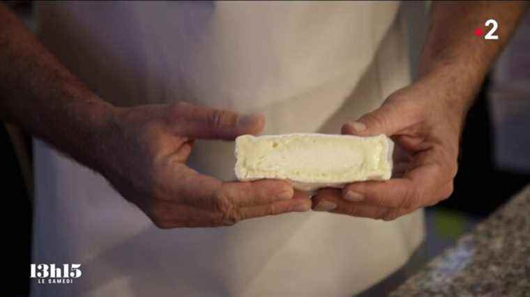 cheese maker Pierre Coulon fights in Camembert against pasteurization