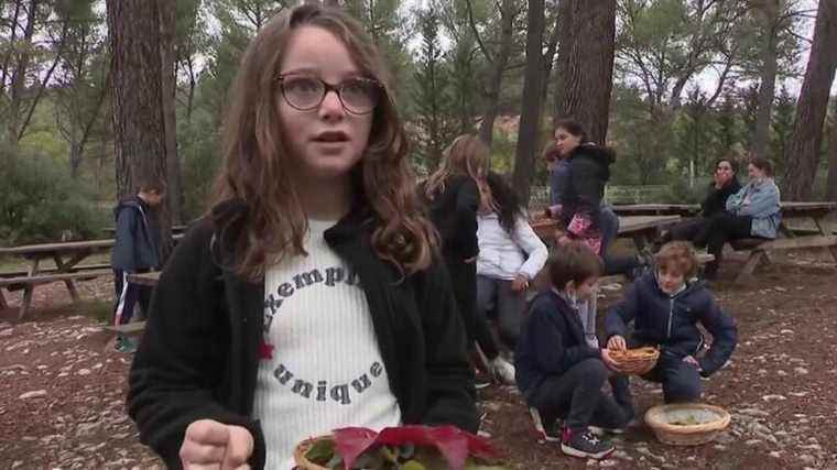 in the Bouches-du-Rhône, workshops to teach children to take care of nature