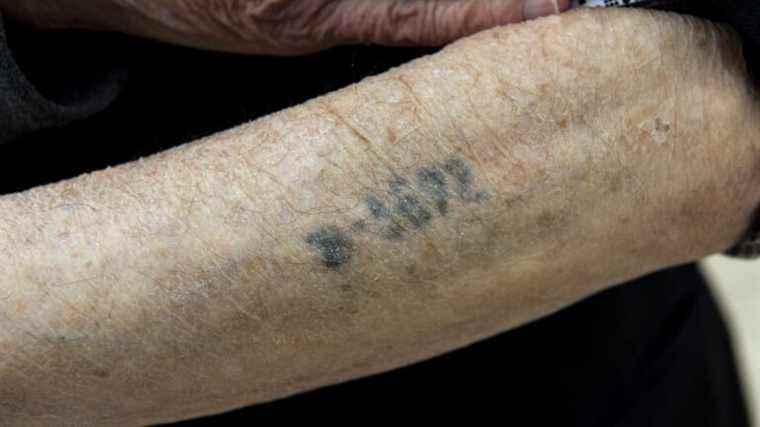 sale of old Jewish tattoo stamps in Auschwitz suspended by justice